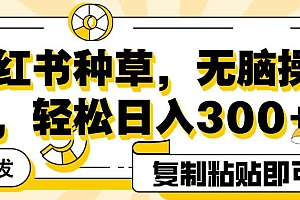 全网首发小红书种草,无脑操作,复制粘贴即可,轻松日入300+