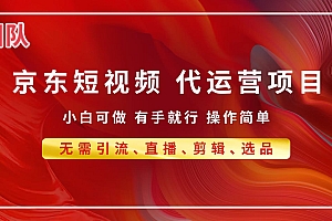 京东带货代运营,普通人翻身逆袭项目,小白有手就行,月入8000+