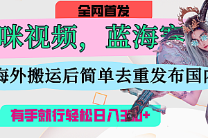 AI猫咪视频蓝海赛道,操作简单,直接海外搬运,简单去重,操作简单,有手就行日入500+