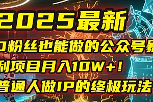 2025最新0粉丝也能做的公众号暴利项目,月入10W+!普通人做IP的终极玩法