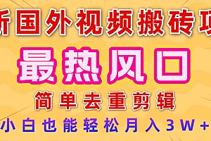 2025最新热门风口,国外视频搬砖项目,简单去重剪辑,小白也能轻松月入3W+
