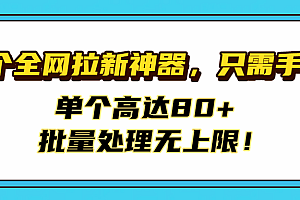首个全网拉新神器,只需手机,单个高达80+,批量处理无上限!