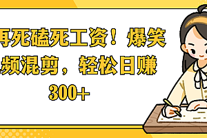 别再死磕死工资!爆笑视频混剪,轻松日赚 300+