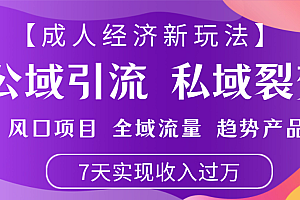 首发:【成人经济新玩法】市面独家玩法,风口项目、全域流量、趋势产品,7天实现月入过万